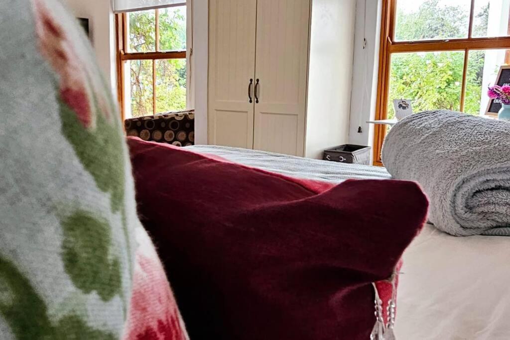Grey Rabbit Cottage モンタギュー エクステリア 写真