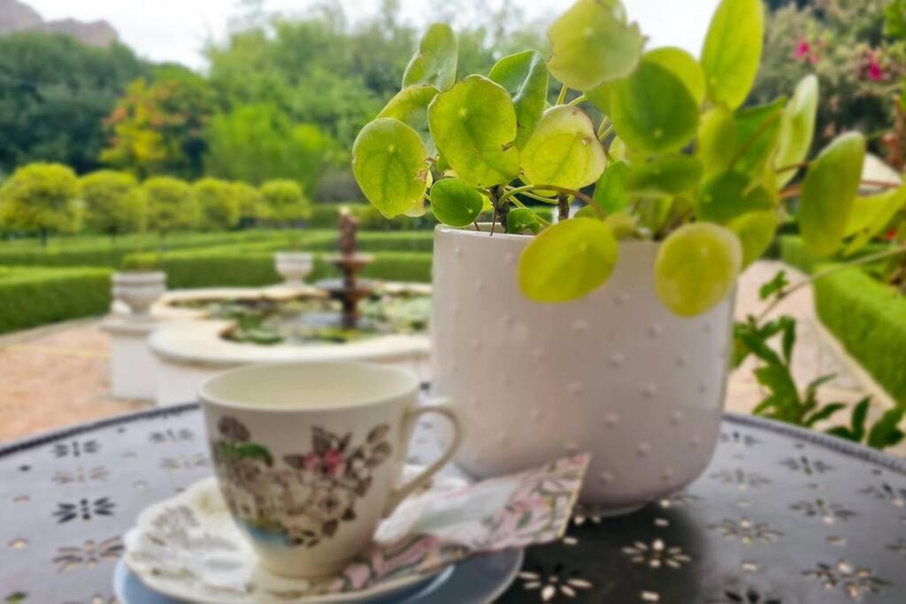 Grey Rabbit Cottage モンタギュー エクステリア 写真