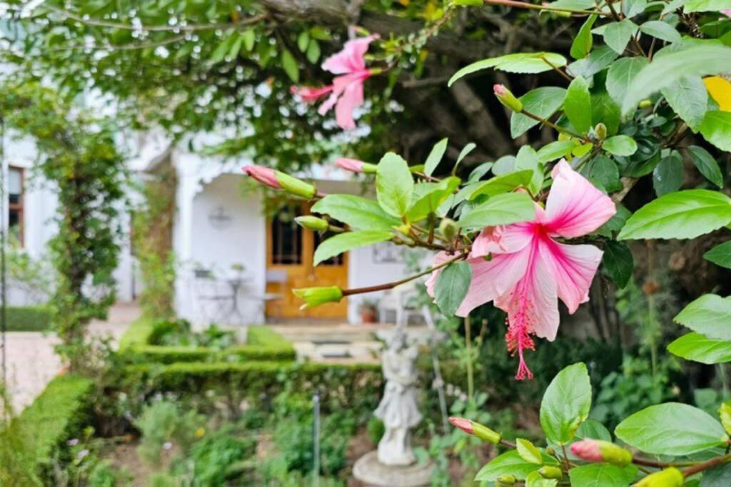Grey Rabbit Cottage モンタギュー エクステリア 写真